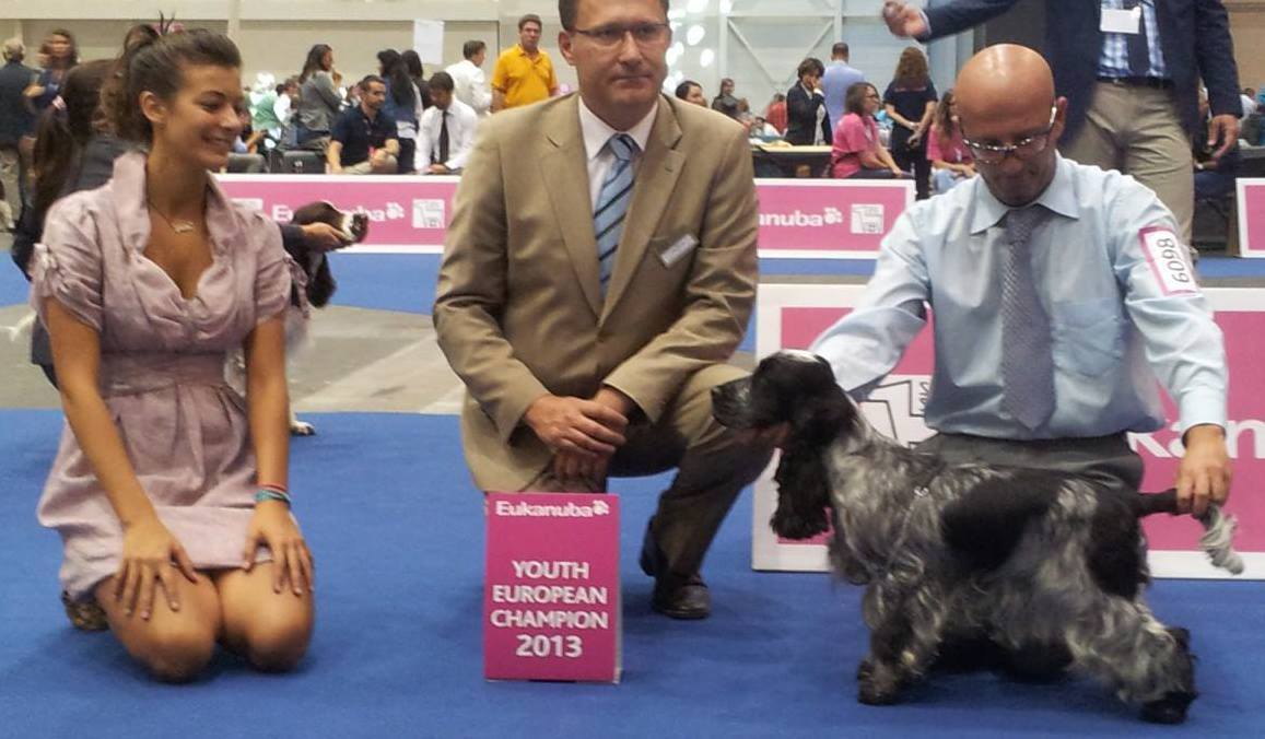 Francini's Someone Like You